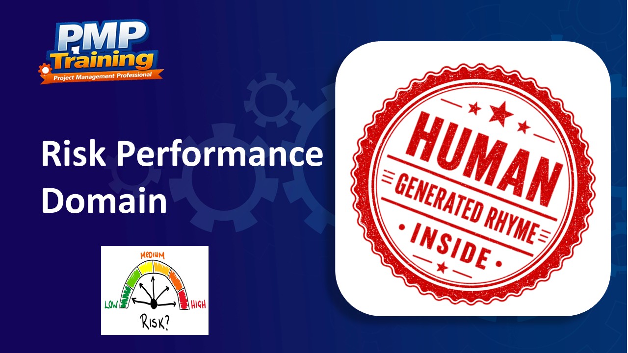Risk Performance Domain